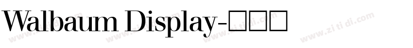 Walbaum Display字体转换